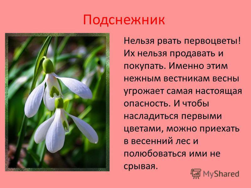 Картинка которую нельзя описать